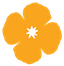 Medi-cal Poppy Logo Homepage